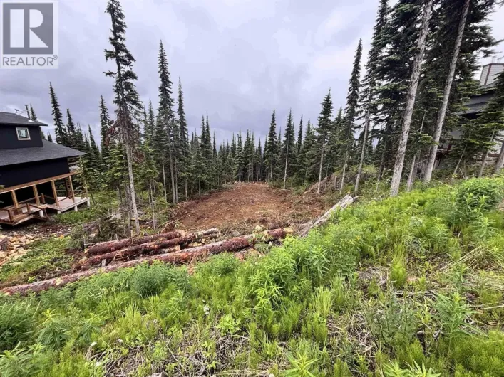 192 ALPINE WAY, Smithers
