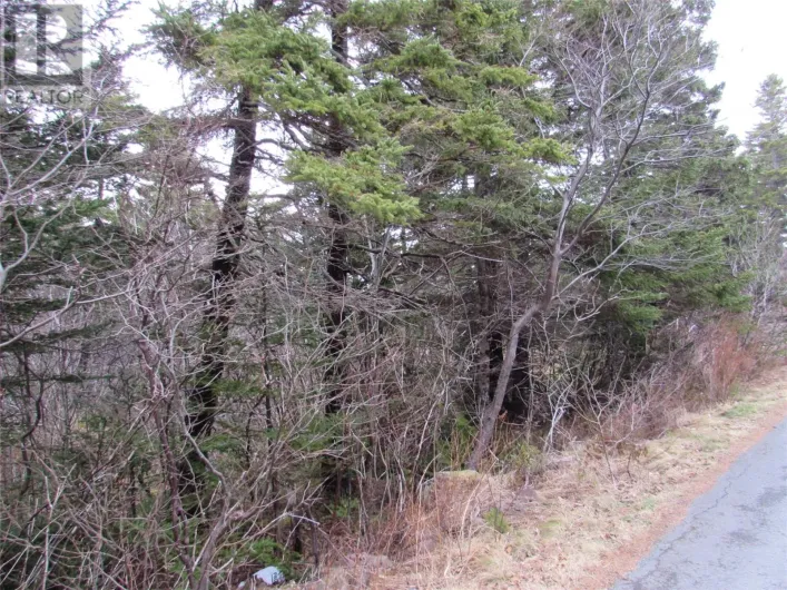 19-23 Bally Hack Road, Avondale