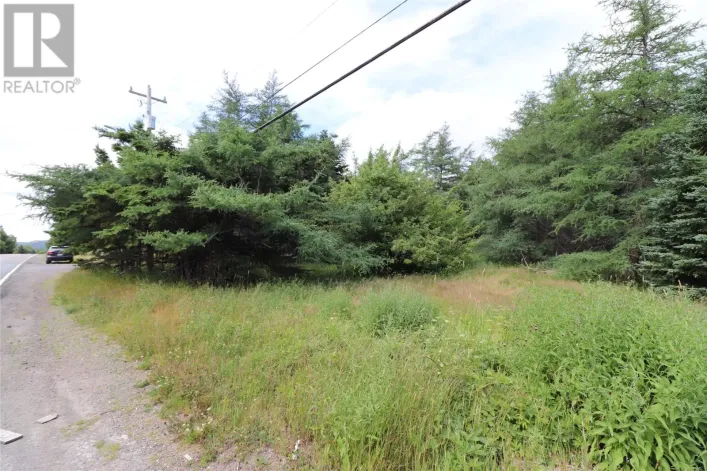 194 Conception Bay Highway, Holyrood
