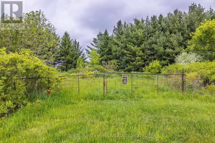 1969 HUTCHINSON ROAD, Haldimand