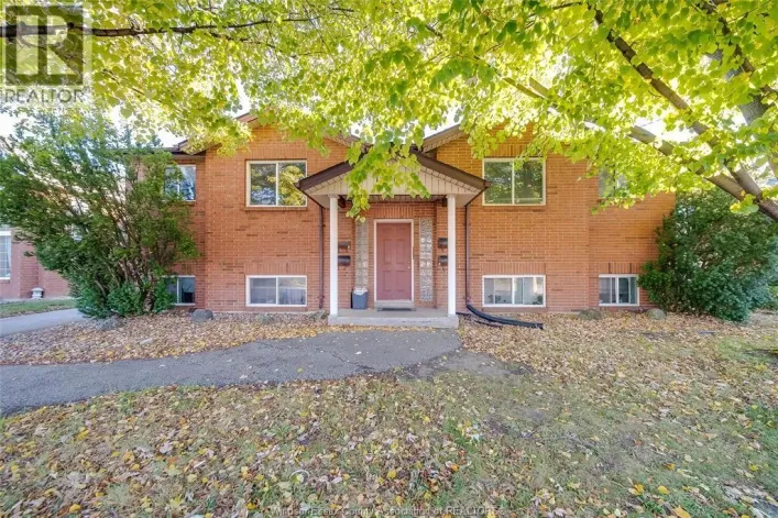 1970 DAYTONA, Windsor