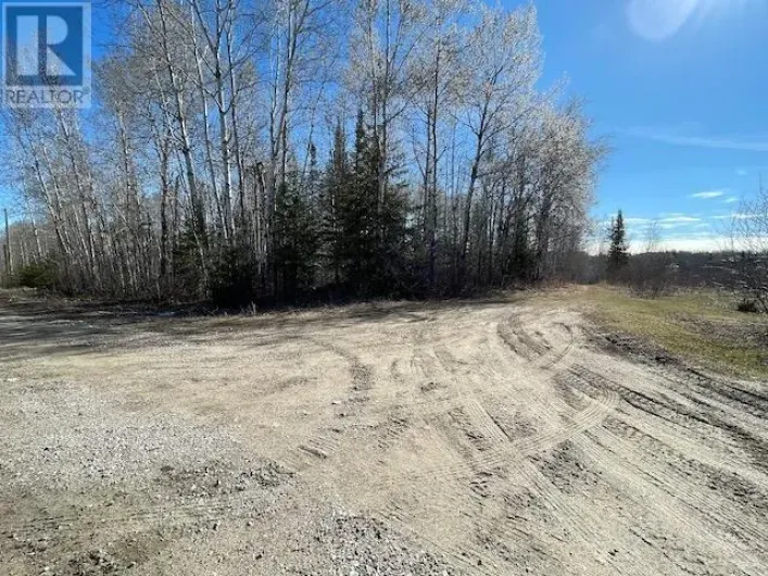 199 LAKEVIEW ROAD, Dryden
