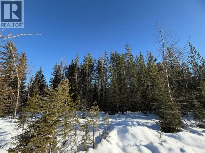 2 DALLAS Place, Elkford