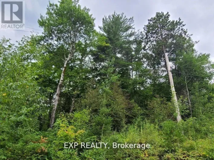 20 PEPLINSKIE HOMESTEAD ROAD, Madawaska Valley