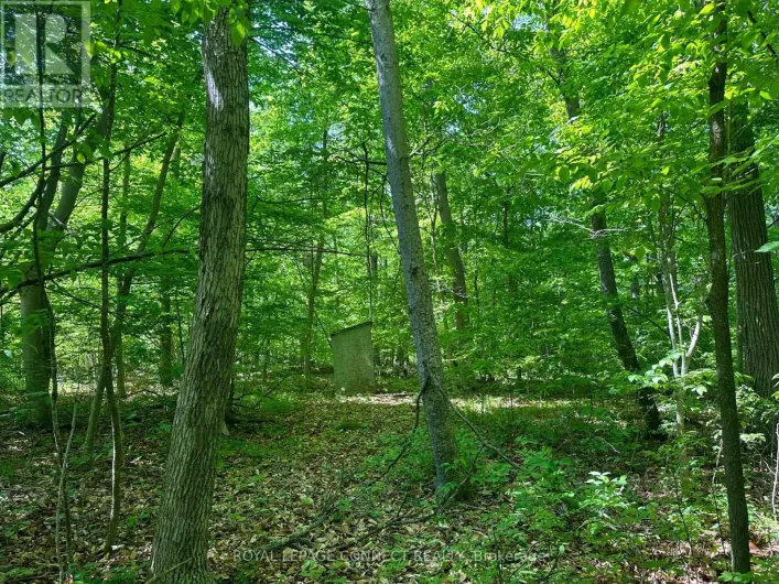 20 RIVERSIDE DRIVE, Trent Hills