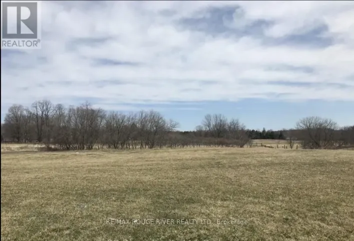 201 LISGAR STREET, Brighton