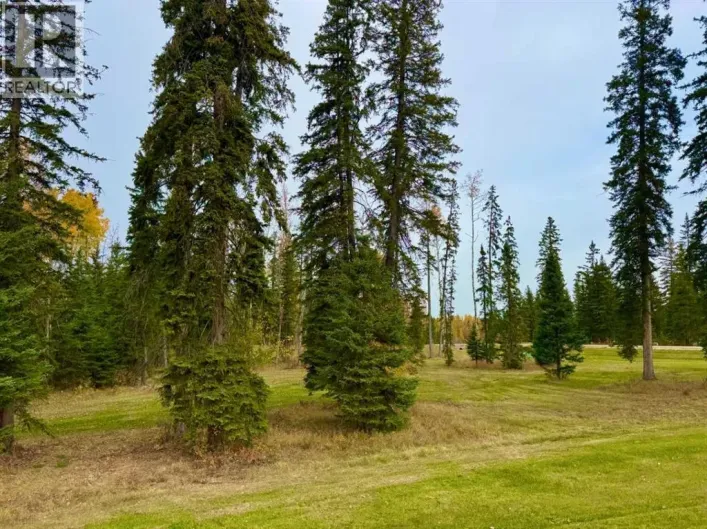 202 Meadow Ponds Drive, Rural Clearwater County