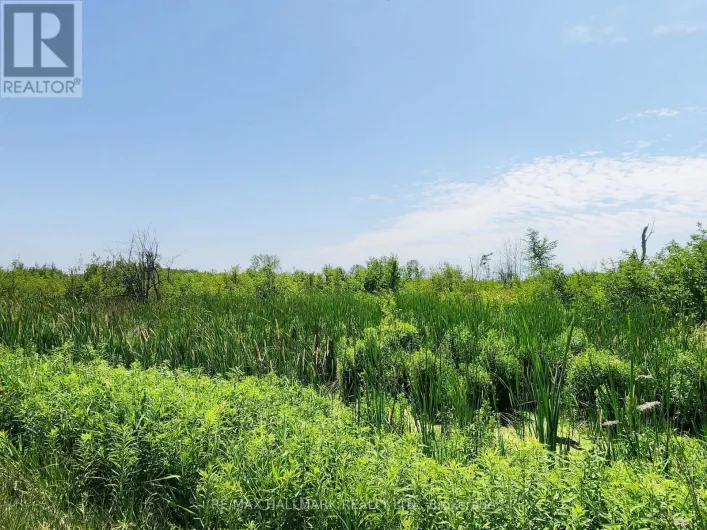 20200 HIGHWAY 48, East Gwillimbury