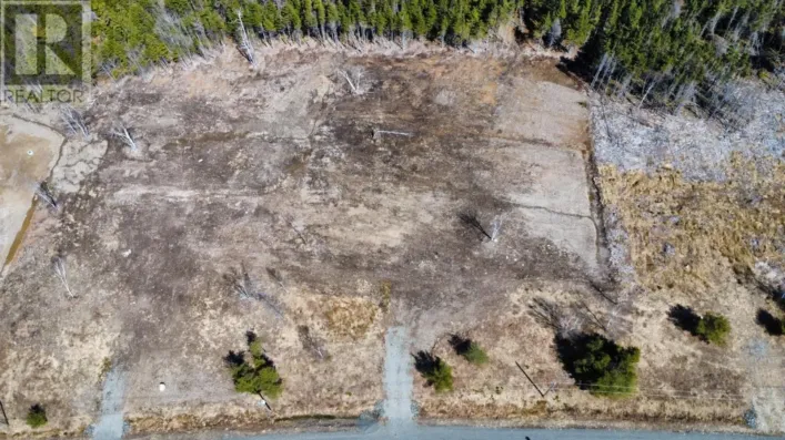 2021-6 Paradise Road, Albert Bridge