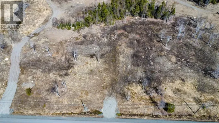 2022-10 Paradise Road, Albert Bridge