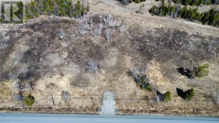 2022-11 Paradise Road, Albert Bridge