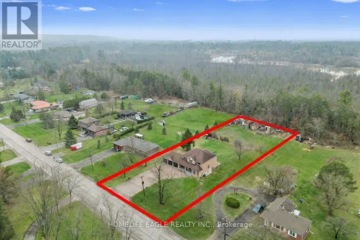 20286 YONGE STREET, East Gwillimbury