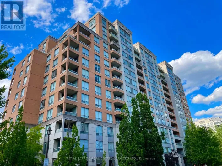 203 - 29 NORTHERN HEIGHTS DRIVE, Richmond Hill