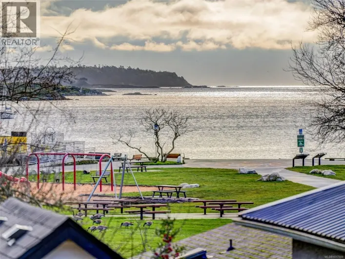 204 2589 Penrhyn St, Saanich