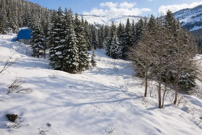 20418 EDELWEISS DRIVE, Agassiz