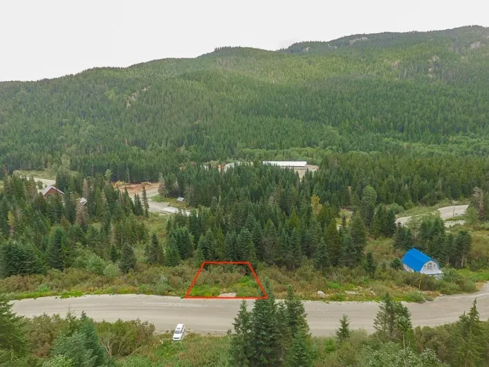 20478 EDELWEISS DRIVE, Mission