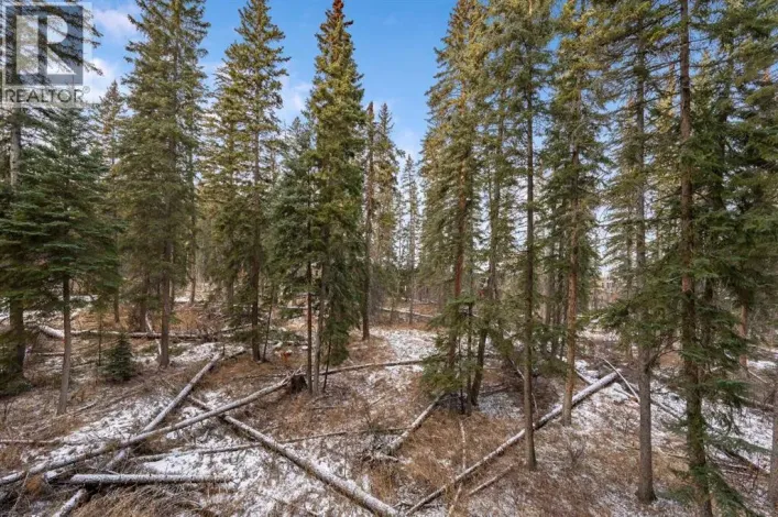 206, 10 Discovery Ridge Close SW, Calgary