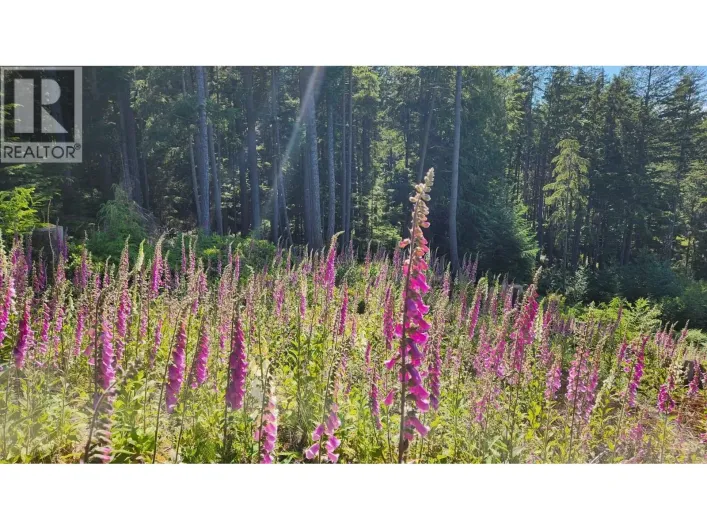 2060 CAPE DRIVE, Bowen Island