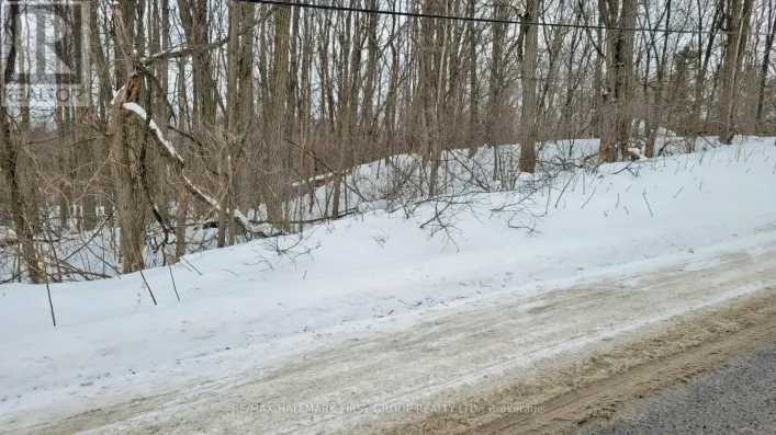 207 GOODFELLOW ROAD, Brighton