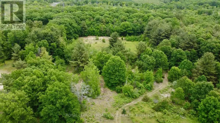 207 MIDDLE RIDGE ROAD, Brighton