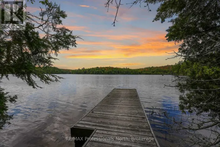 20871 HIGHWAY 35, Algonquin Highlands