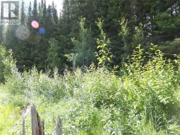 2098 GLAMOR LAKE ROAD, Highlands East