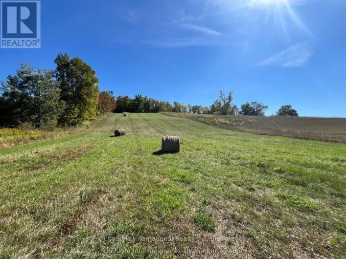 213 VANSICKLE ROAD, Havelock-Belmont-Methuen