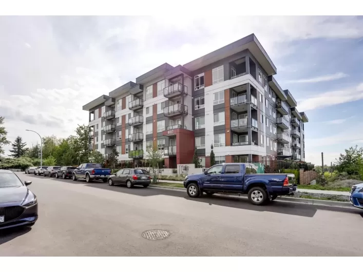 217 8117 200A STREET, Langley