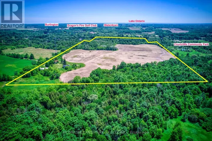 217 CARLISLE ROAD, Hamilton