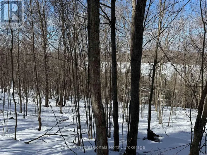 22 WALPOLE STREET W, Huntsville