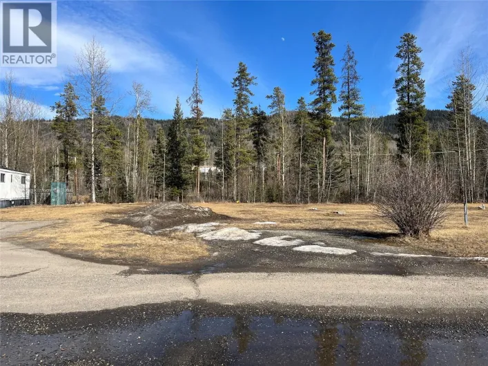 221 STEEPROCK CLOSE, Tumbler Ridge