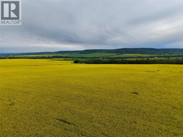 223 Road, Dawson Creek
