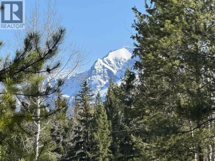 225 13TH AVENUE, Valemount