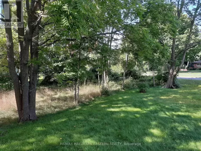 227 A QUEEN STREET, Selwyn