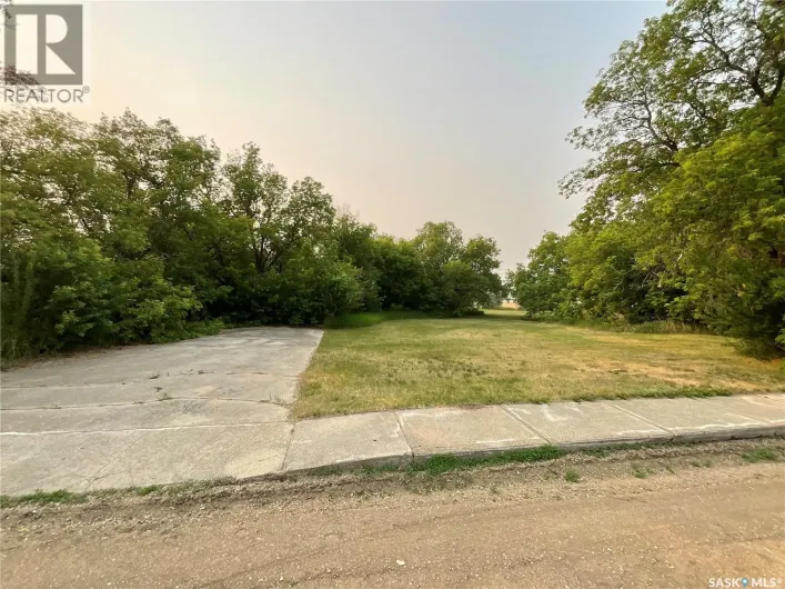 Unknown for sale: 228 1st AVENUE W, Blaine Lake