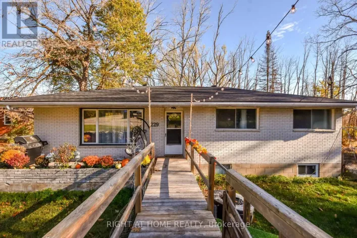 229 MOUNTAIN AVENUE, Tay