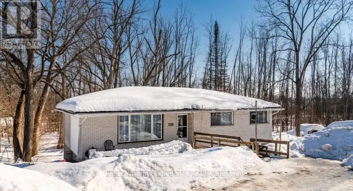 229 MOUNTAIN AVENUE, Tay