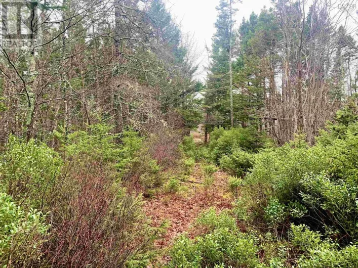 2.3 Acres Highway 308|Tusket, Tusket