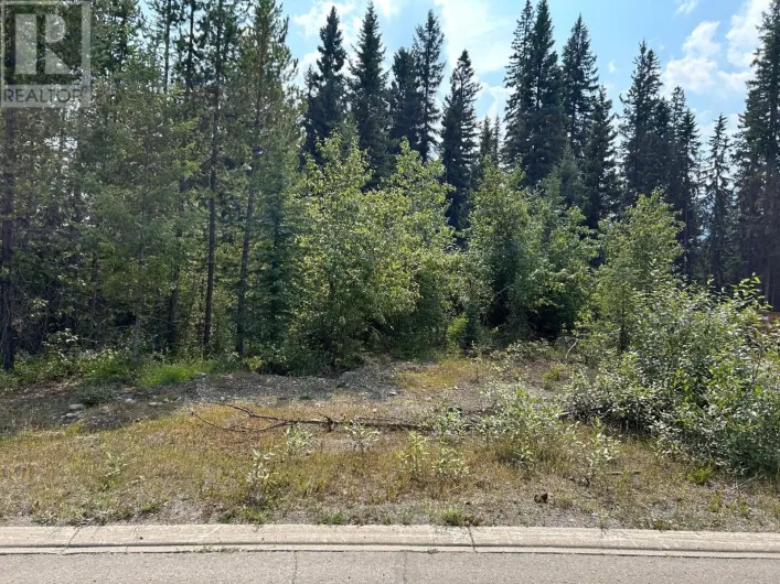 23 DOUGLAS Crescent, Elkford