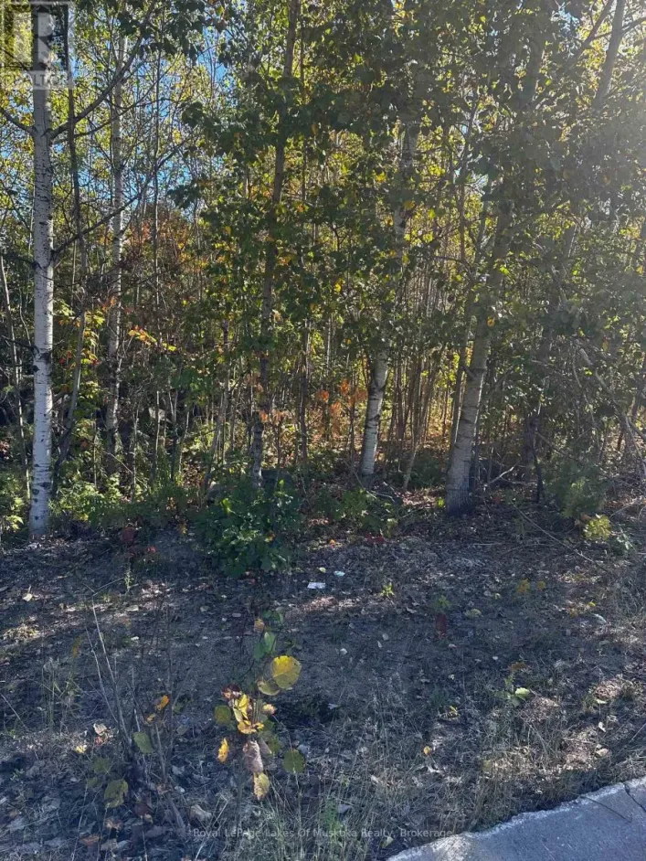 23 FREELAND DRIVE, Gravenhurst)