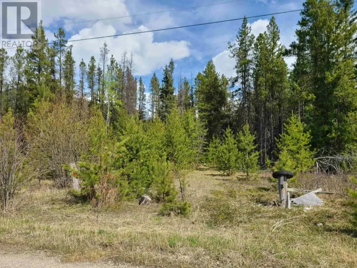 2300 MAIN STREET, Valemount