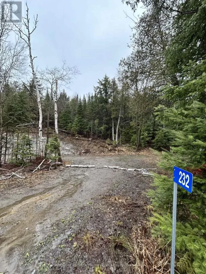 232 CLARKE ROAD, Highlands East