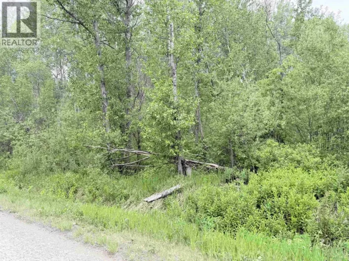 23336 HOWELLS ROAD, Smithers