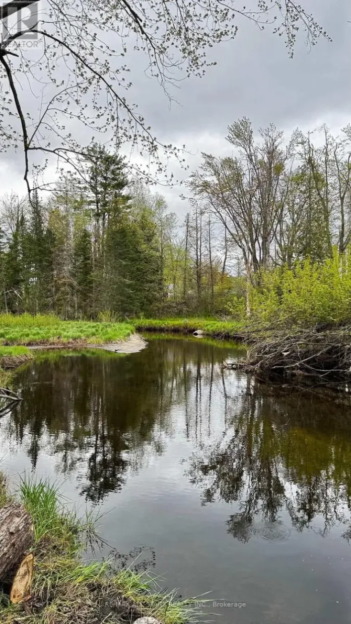 2348 NORTHEY'S BAY ROAD, North Kawartha