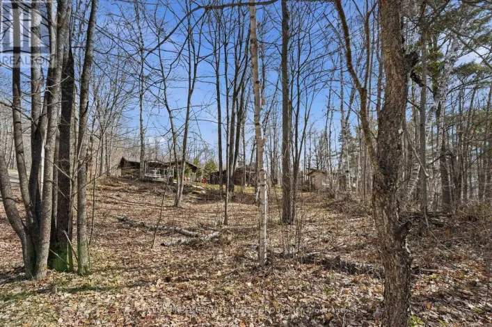 2349 N BAPTISE LAKE ROAD, Hastings Highlands
