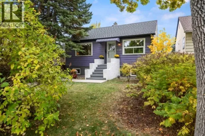 239 24 Avenue NE, Calgary