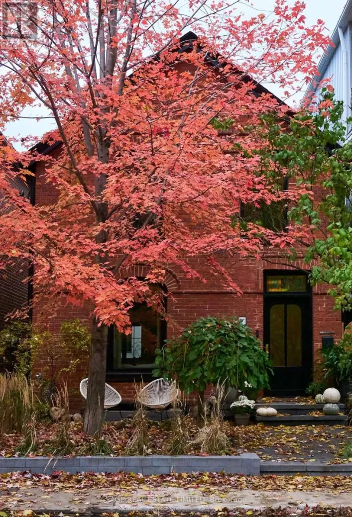 239 BORDEN STREET, Toronto