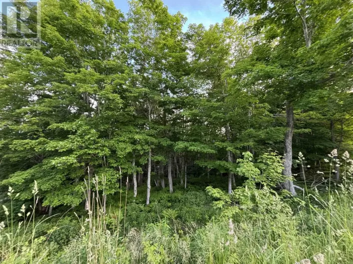 24 Parkland Place, Dalem Lake