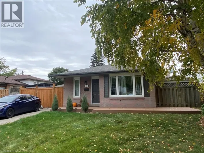 24 QUEENSLEA Drive, Hamilton