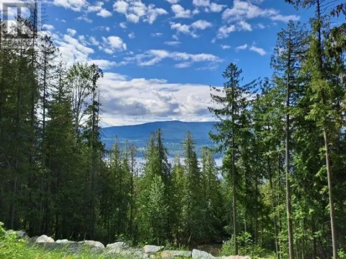 24 Vickers Trail, Anglemont